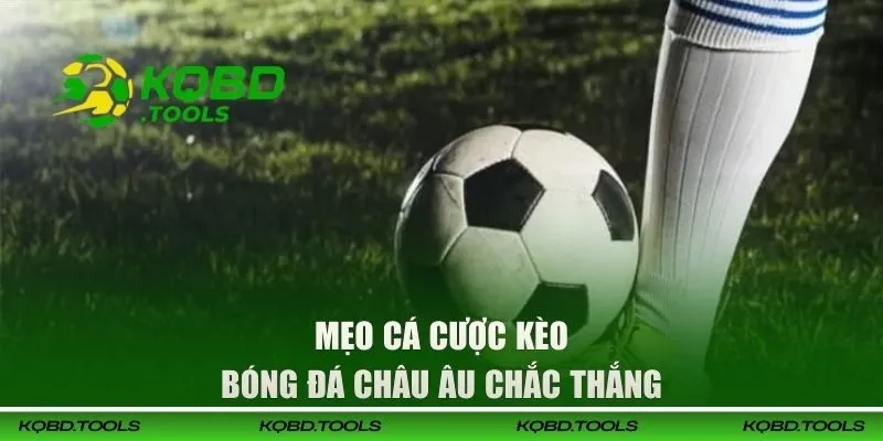 Chiến thuật cược kèo bóng đá Tài Xỉu thắng đậm 