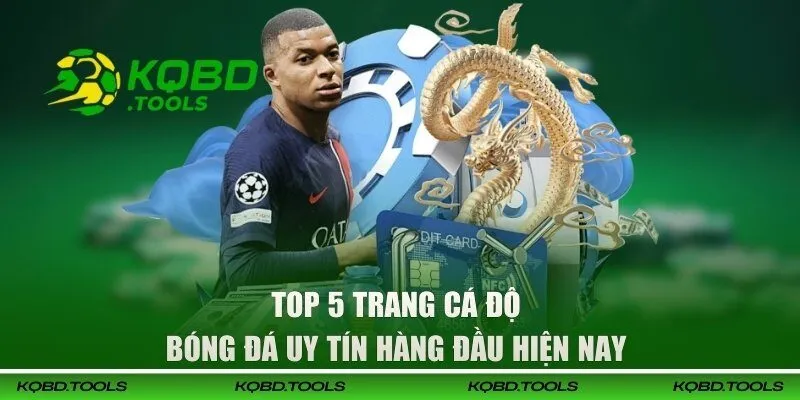 Top 5 Trang Cá Độ Bóng Đá Uy Tín Hàng Đầu Nên Trải Nghiệm 2 Top 5 trang cá độ bóng đá uy tín hàng đầu hiện nay