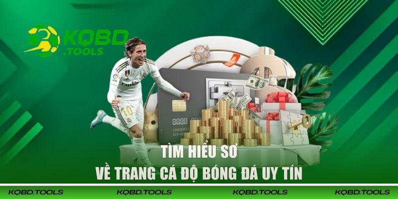 Tìm hiểu sơ về trang cá độ bóng đá uy tín