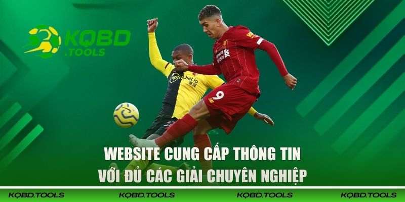 Website cung cấp thông tin với đủ các giải chuyên nghiệp